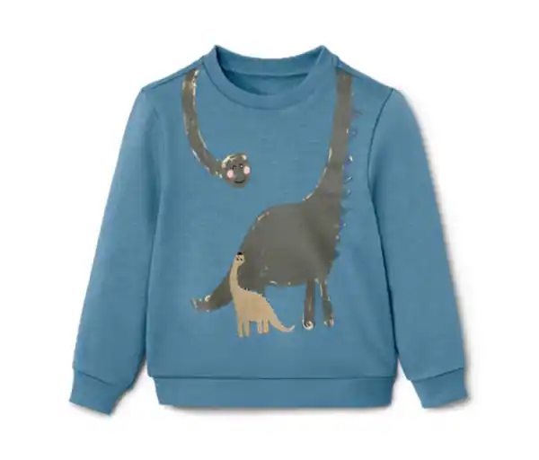 Bild 1 von Kinder-Sweater mit Dino-Applikation