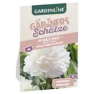 GARDENLINE Pfingstrosen