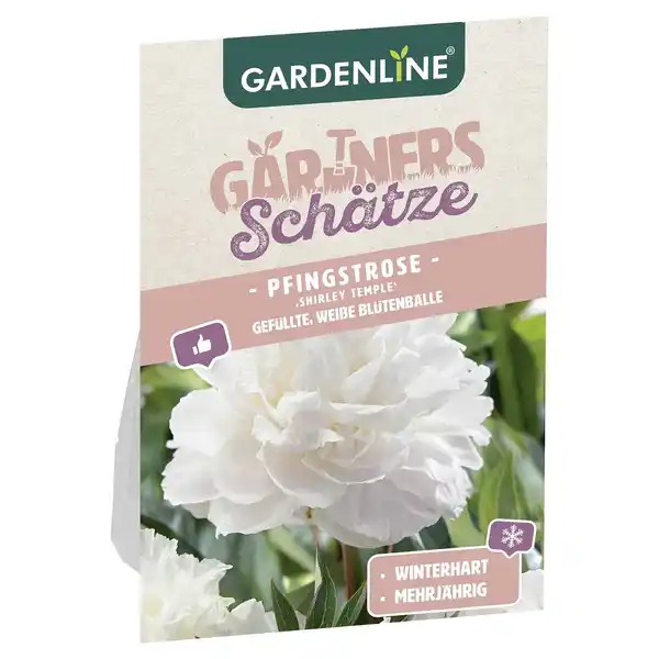 Bild 1 von GARDENLINE Pfingstrosen