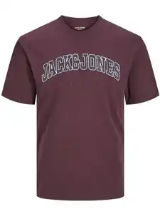 Jack&Jones JJECALEB VARSITY TEE T-Shirt Rot