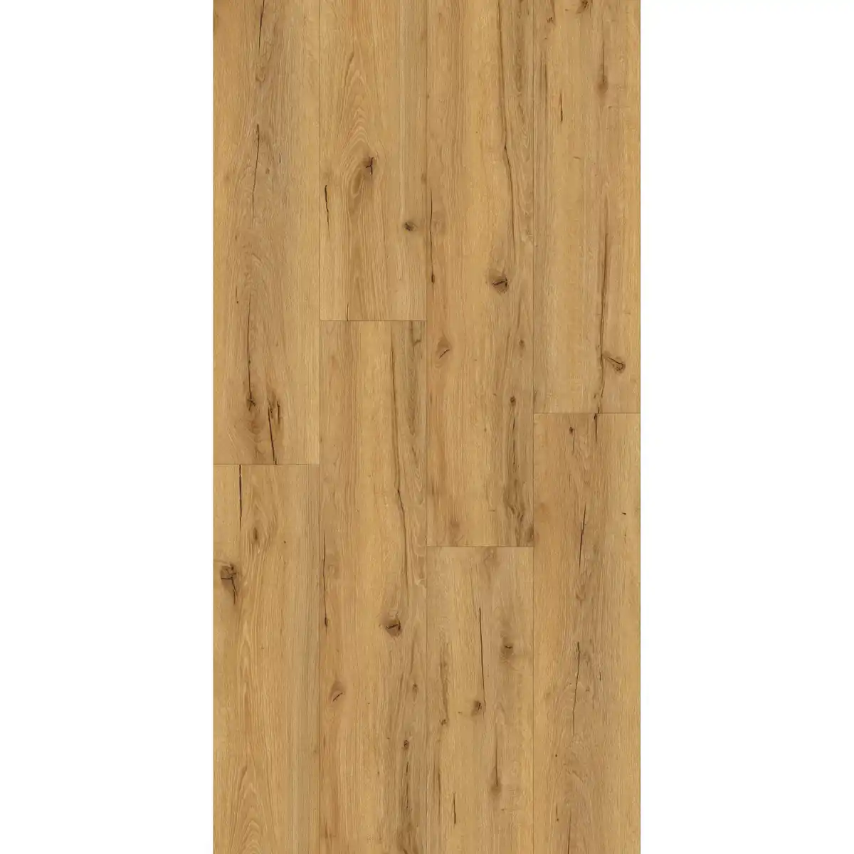 Bild 1 von Vinylboden 'Brisbane' eichefarben 4 mm