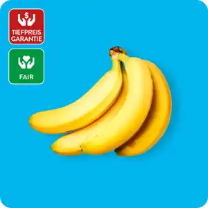 GUT BIO Fairtrade-Bananen, Ursprung: Peru / Dominikanische Republik / Ecuador / Kolumbien