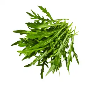 Rucola 125g