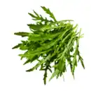 Bild 1 von Rucola 125g