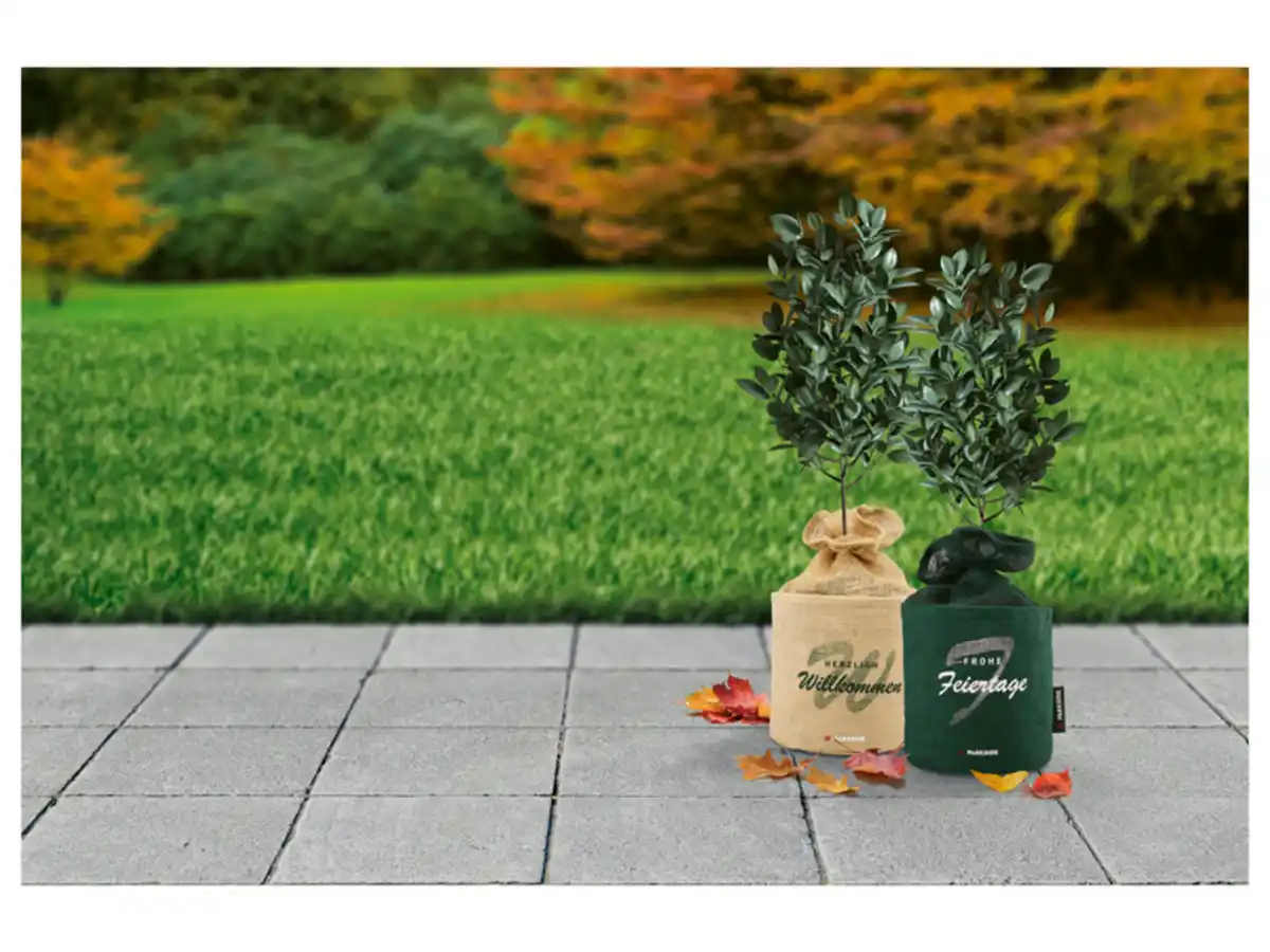 Bild 3 von PARKSIDE® Pflanzenschutz-Juteübertopf mit Motiv