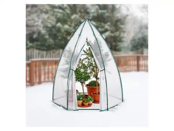 Bild 2 von PARKSIDE® Pflanzenschutz-Gewächshaus, B 160 x H 180 x T 160 cm