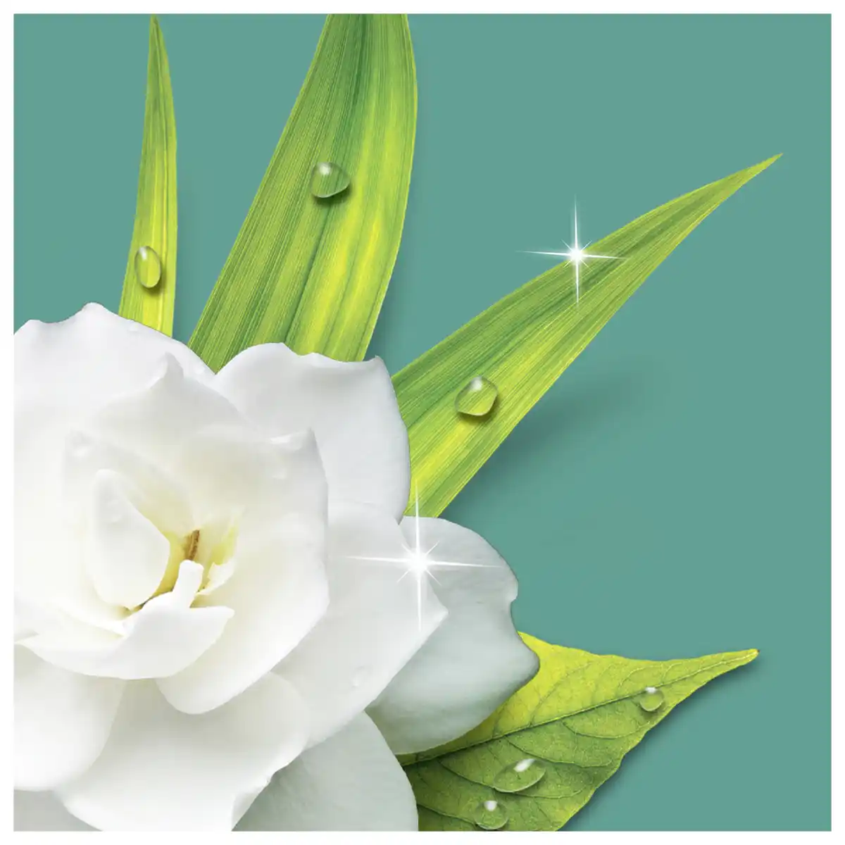 Bild 2 von Meister Proper Allzweckreiniger Frühlingserwachen, 1,5 L