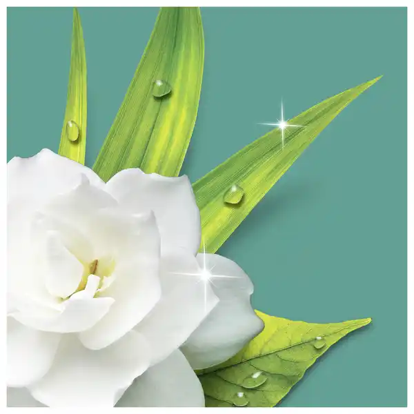 Bild 2 von Meister Proper Allzweckreiniger Frühlingserwachen, 1,5 L