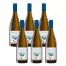 Bild 1 von Sauvignon Blanc, 6 Flaschen à 0,75 l