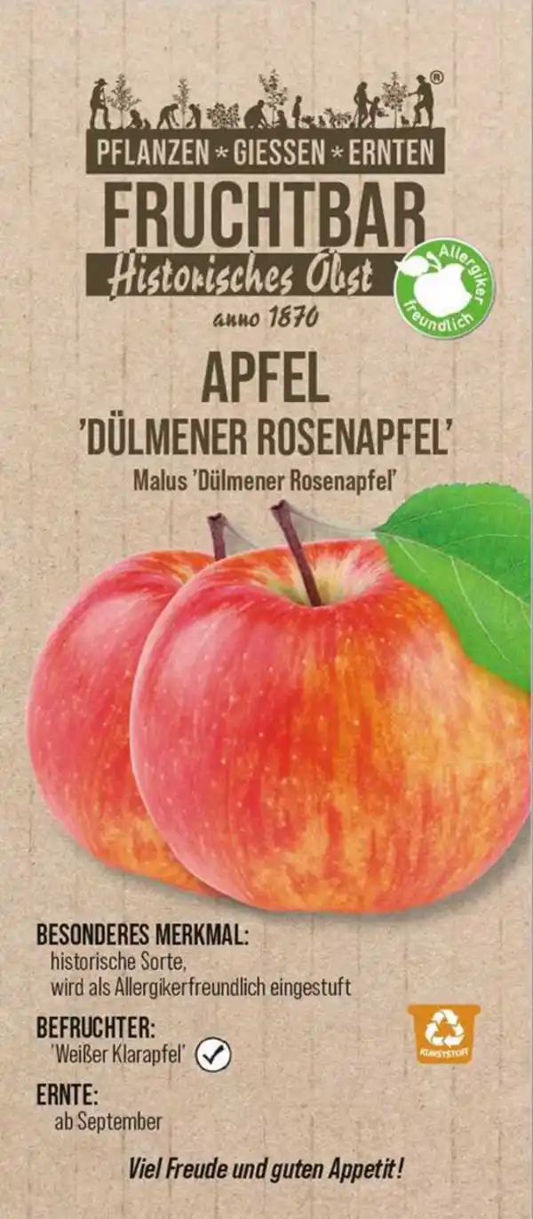 Bild 1 von Stadt Ernte Bio Obstbaum Apfel Dülmener Rosenapfel H 150 cm 29 cm Topf