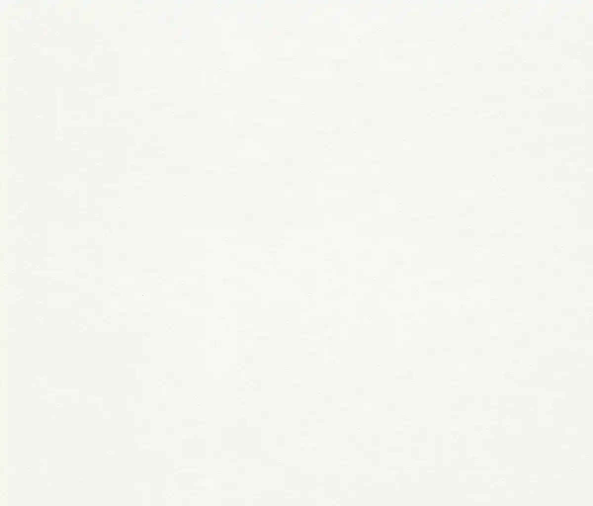 Bild 1 von Rasch Makulaturvlies 658408 weiß 25 x 0,75 m