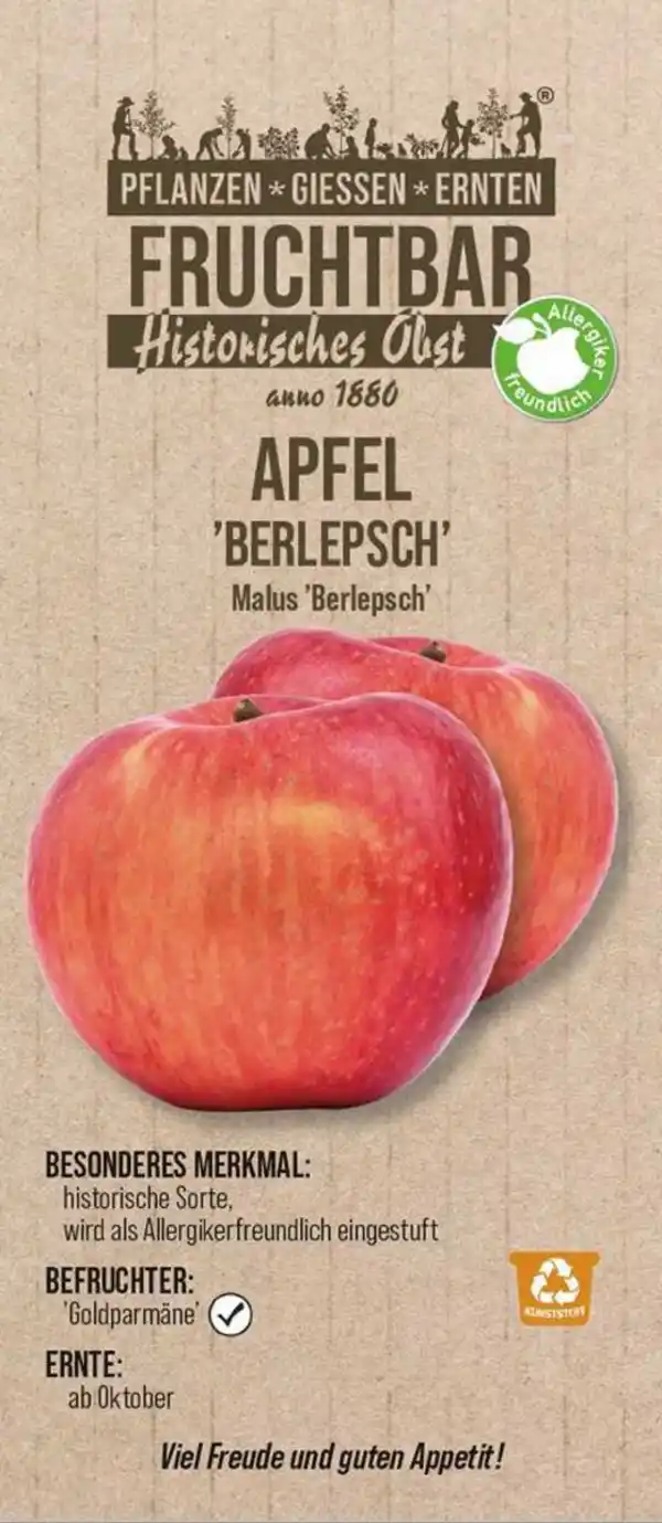 Bild 1 von Stadt Ernte Bio Obstbaum Apfel Berlepsch H 150 cm 29 cm Topf