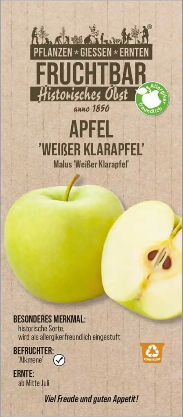 Bild 1 von Stadt Ernte Bio Obstbaum Apfel Weißer Klarapfel H 150 cm 29 cm Topf