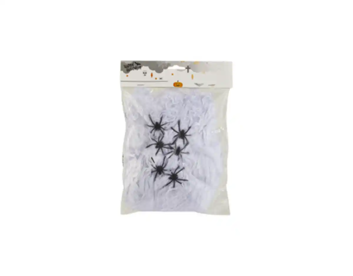 Bild 1 von Spinnennetz mit Spinnen