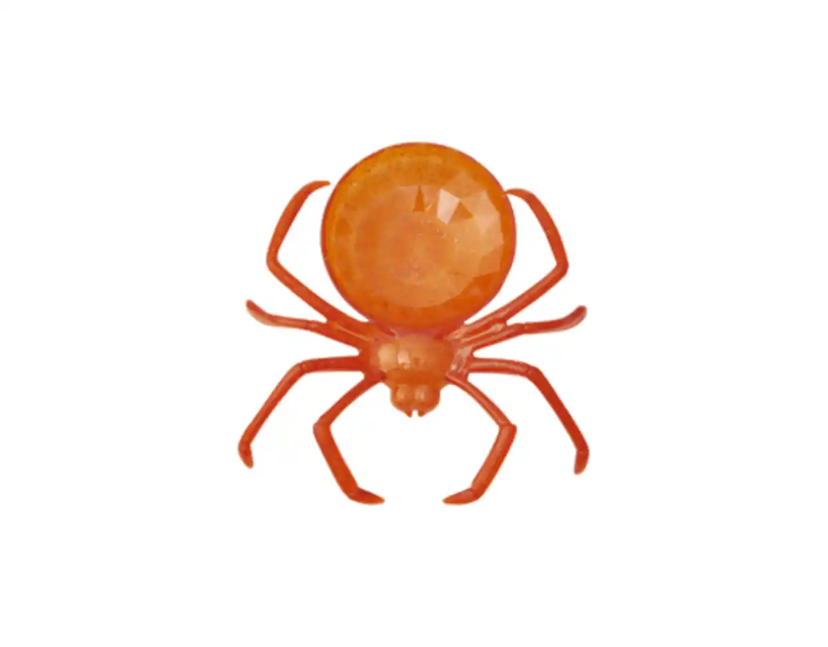 Bild 1 von Schale Spinne