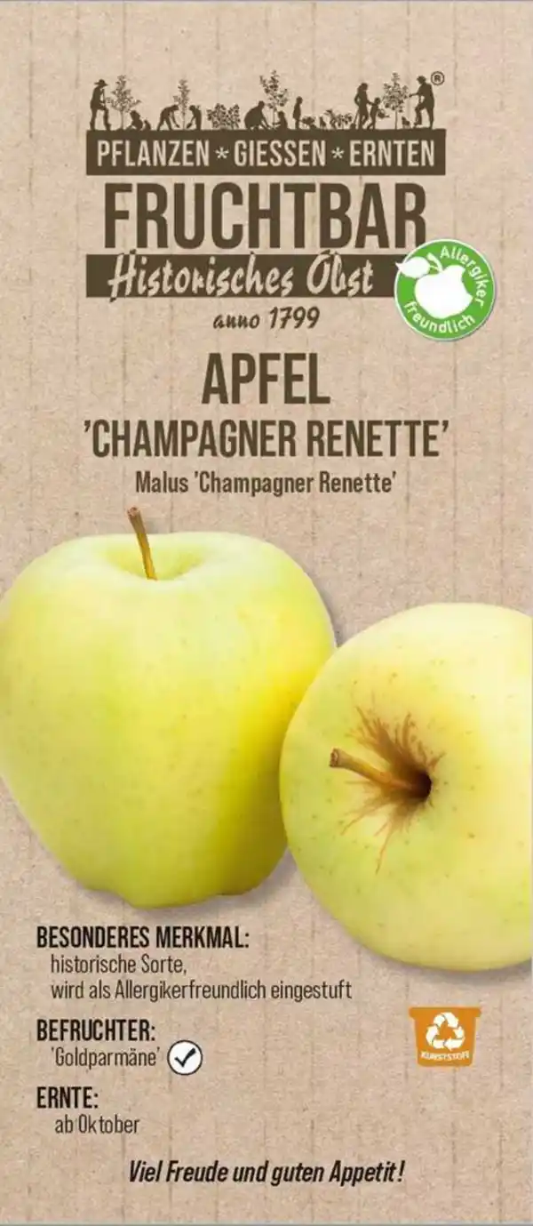 Bild 1 von Stadt Ernte Bio Obstbaum Apfel Champagner Renette H 150 cm 29 cm Topf