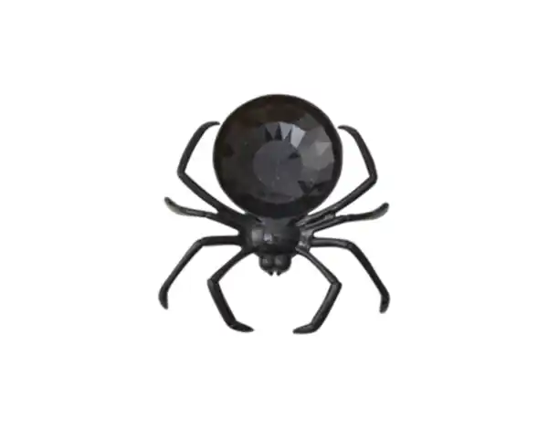 Bild 3 von Schale Spinne