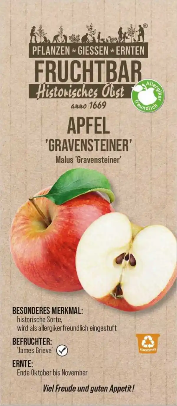 Bild 1 von Stadt Ernte Bio Obstbaum Apfel Gravensteiner H 150 cm 29 cm Topf