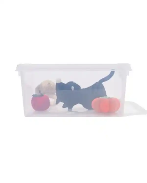 Bild 1 von Ordnungsbox London, 32 Liter, transparent 50 x 39 x 26 cm