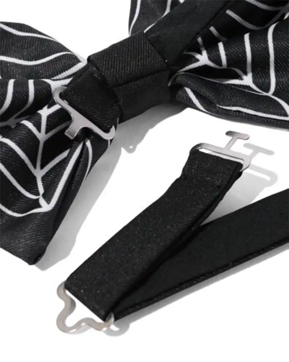 Bild 3 von Fliege Spinnennetz