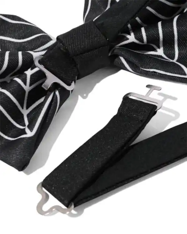 Bild 3 von Fliege Spinnennetz