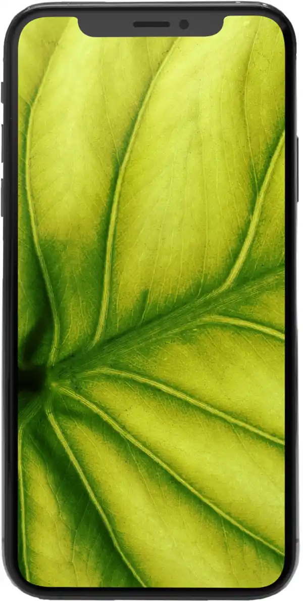 Bild 1 von iPhone X 64GB Spacegrau Premium Refurbished