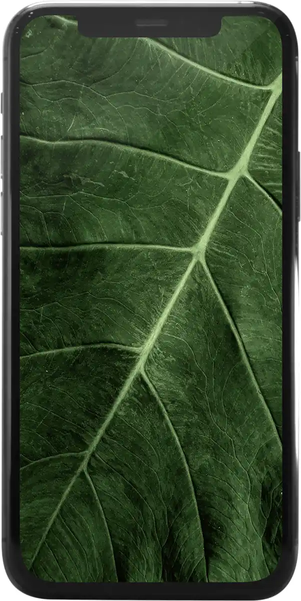 Bild 1 von iPhone 11 Pro Max 64GB Spacegrau Refurbished