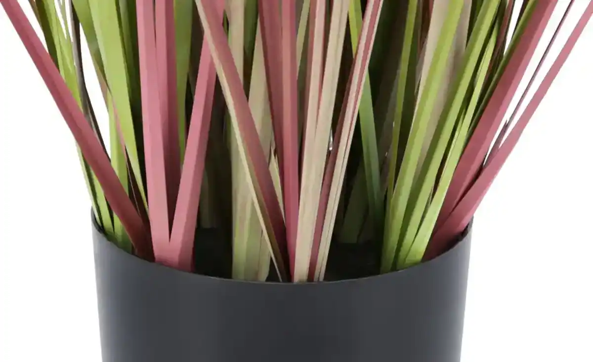 Bild 3 von Grasbüschel getopft ¦ rosa/pink ¦ Kunststoff, Zement ¦ Maße (cm): H: 70  Ø: [12.5] Dekoration > Kunstblumen - Möbel Kraft