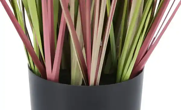 Bild 3 von Grasbüschel getopft ¦ rosa/pink ¦ Kunststoff, Zement ¦ Maße (cm): H: 70  Ø: [12.5] Dekoration > Kunstblumen - Möbel Kraft