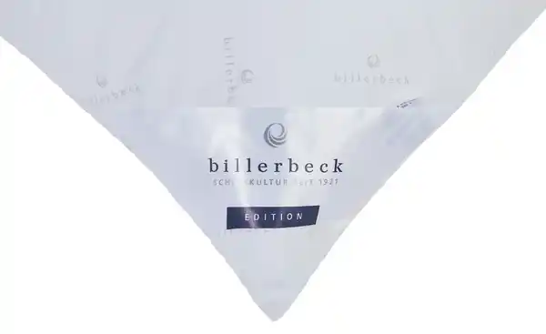 Bild 4 von Billerbeck Kopfkissen Queen