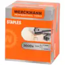 Bild 1 von Werckmann Tackerklammern