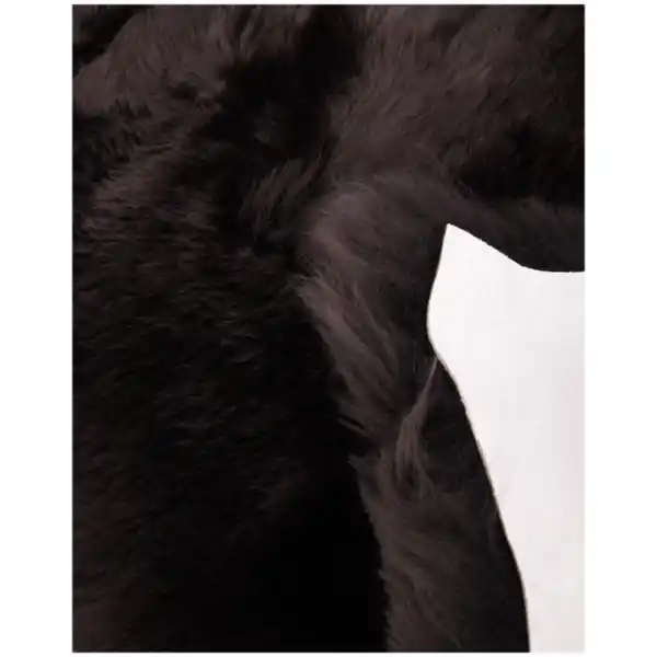 Bild 2 von Schaffell