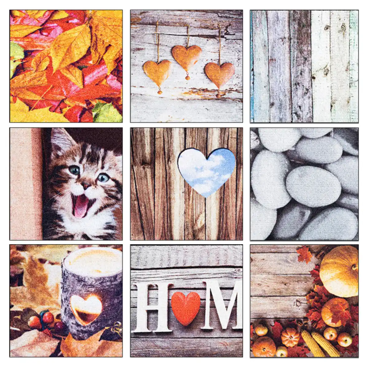 Bild 2 von Lifetex Digitaldruck-Schmutzfangmatte