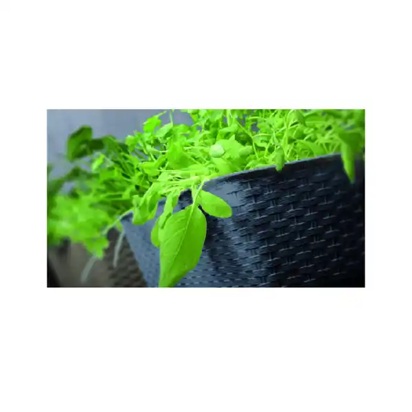 Bild 2 von Pflanzkasten-Komplettset - Dunkelbraun, 2er Set