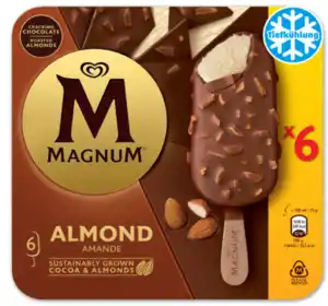 MAGNUM Stieleis