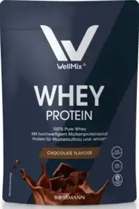 WellMix Whey Protein Chocolate Flavour, 450 g