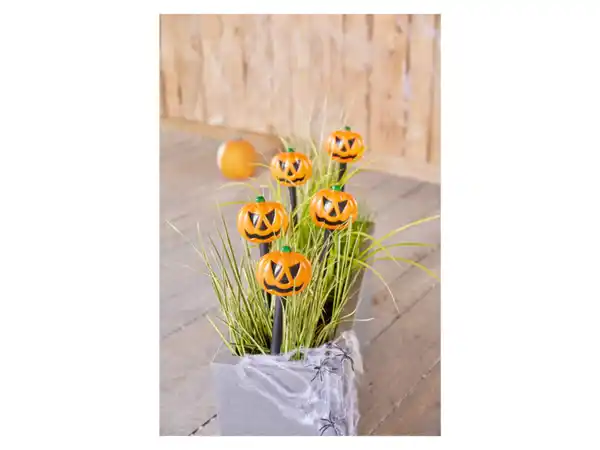 Bild 2 von LIVARNO home Halloween-LED-Gartenspieße, für Innen- und Außenbereich
