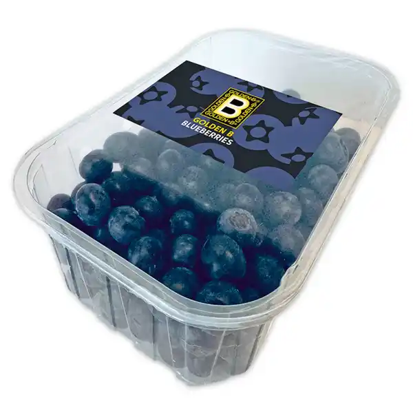 Bild 1 von Golden B Blueberries Kultur-Heidelbeeren