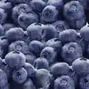 Bild 2 von Golden B Blueberries Kultur-Heidelbeeren