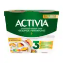 Bild 2 von DANONE Activia Pfirsich-Maracuja - Vanille 115g