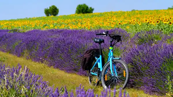 Bild 1 von Eigene Anreise Frankreich - Provence: Radreise ab/an Orange