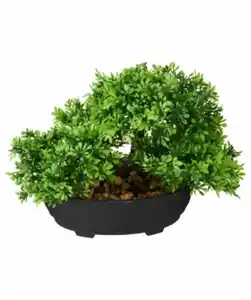 Kunstbonsai, verschiedene Ausführungen, grün