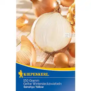 Kiepenkerl Gelbe Wintersteckzwiebeln "Senshyu Yellow" 250 g