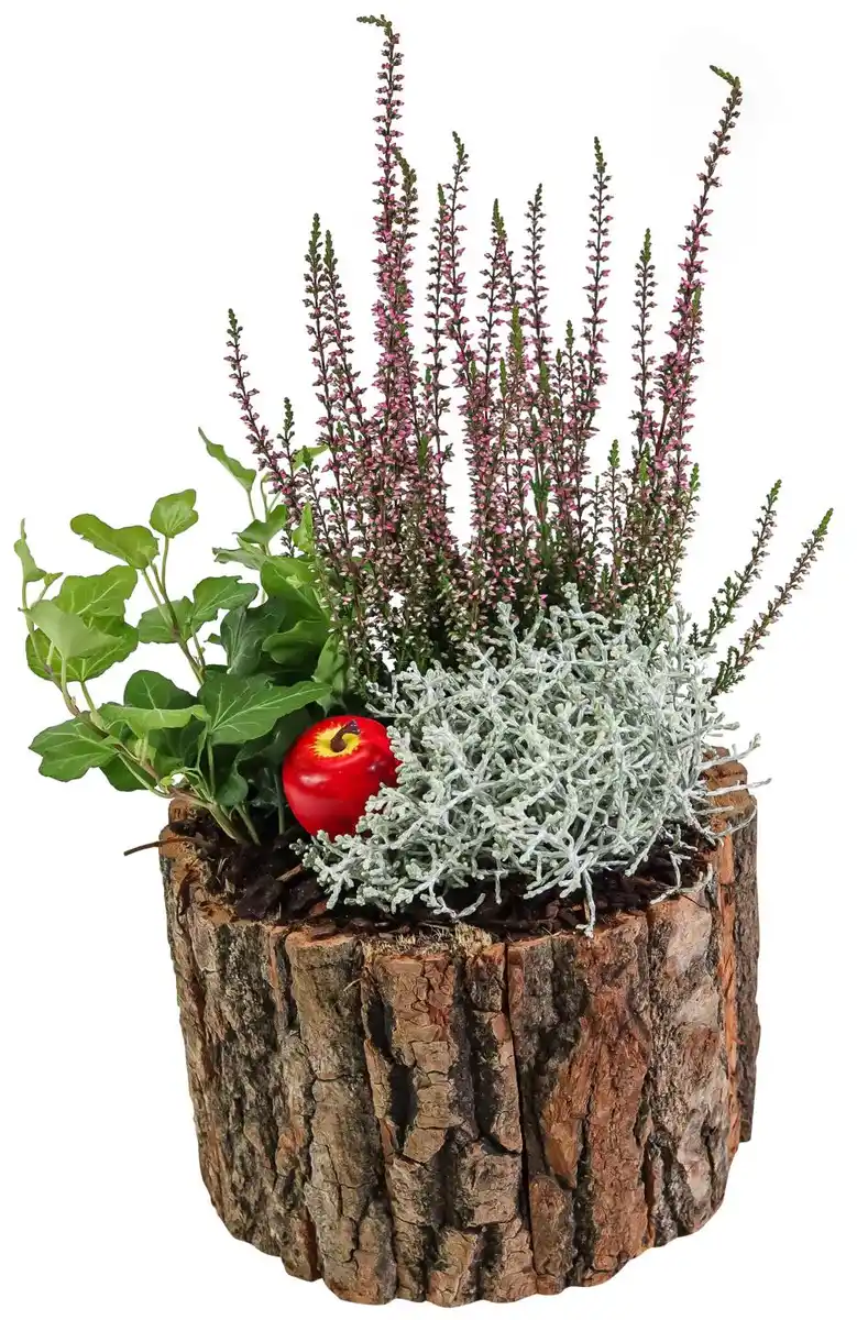 Bild 2 von Bepflanztes Holzgefäß