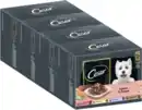 Bild 3 von Portionsbeutel Multipack Selektion in Sauce 4 Varietäten 12x100g