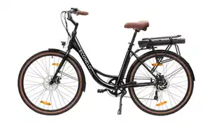 26 Zoll E-Bike Schwarz