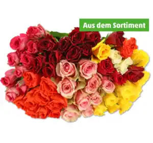 Wunderschöne Fairtrade-Rosen