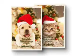 Orlando/Coshida Hunde-/Katzennahrung Adventskalender,  100 g