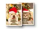 Bild 1 von Orlando/Coshida Hunde-/Katzennahrung Adventskalender,  100 g