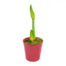 Bild 4 von GARDENLINE Amaryllis im Keramiktopf